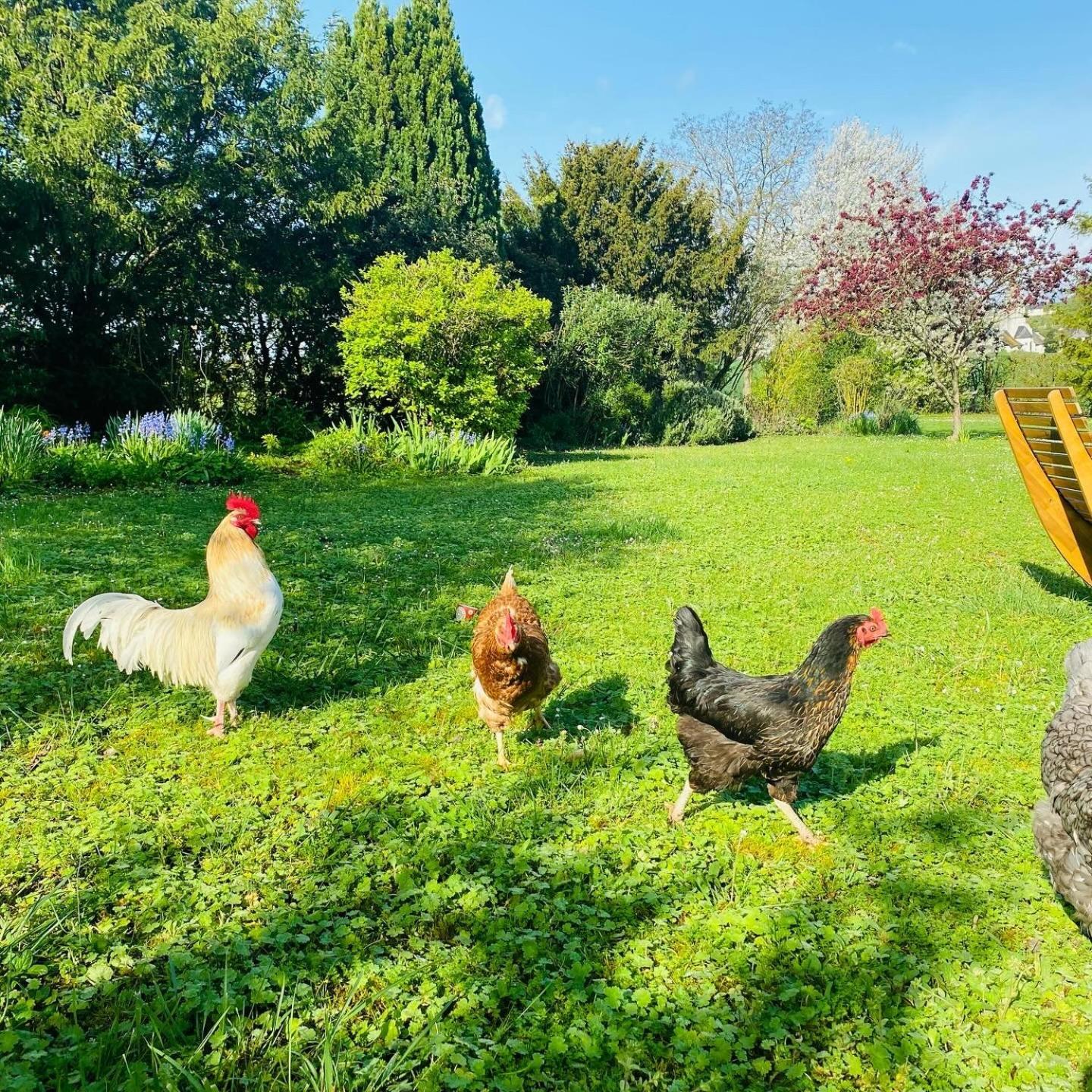 Ligré L'Ecrin De Verdure المظهر الخارجي الصورة