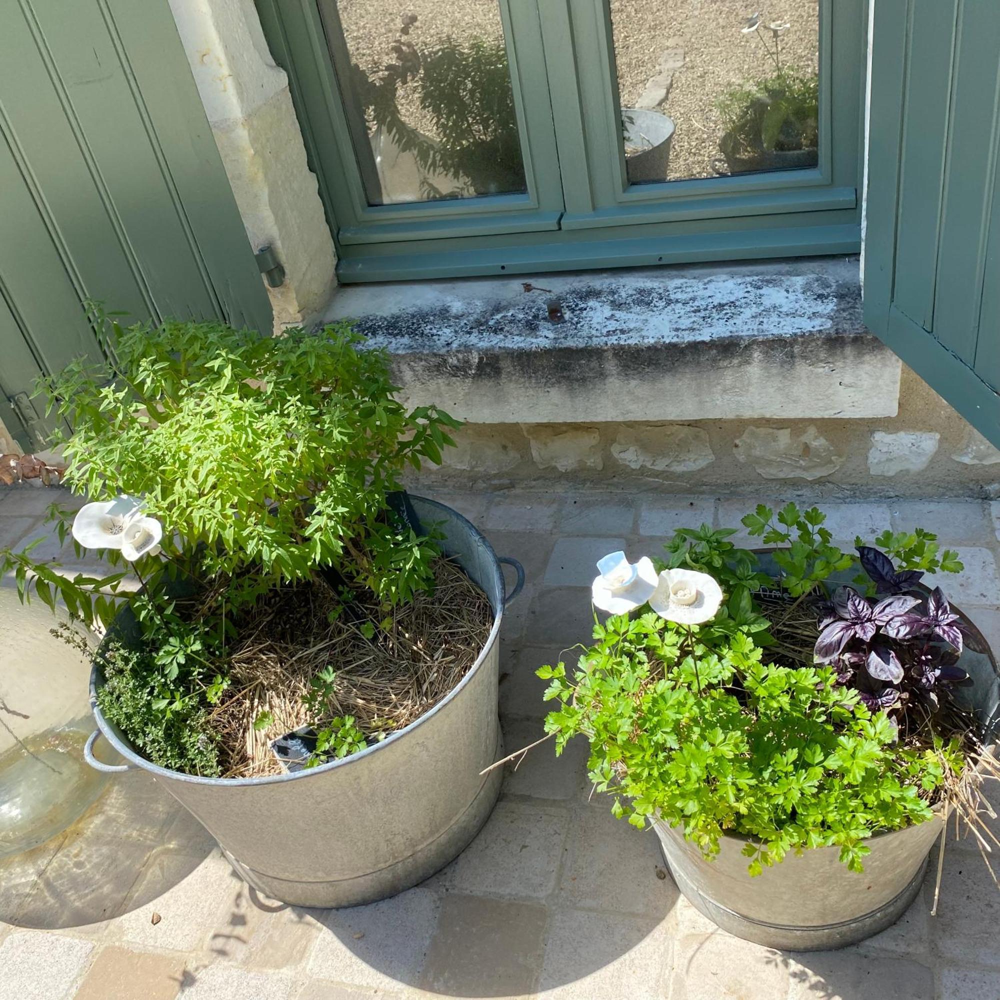 Ligré L'Ecrin De Verdure المظهر الخارجي الصورة