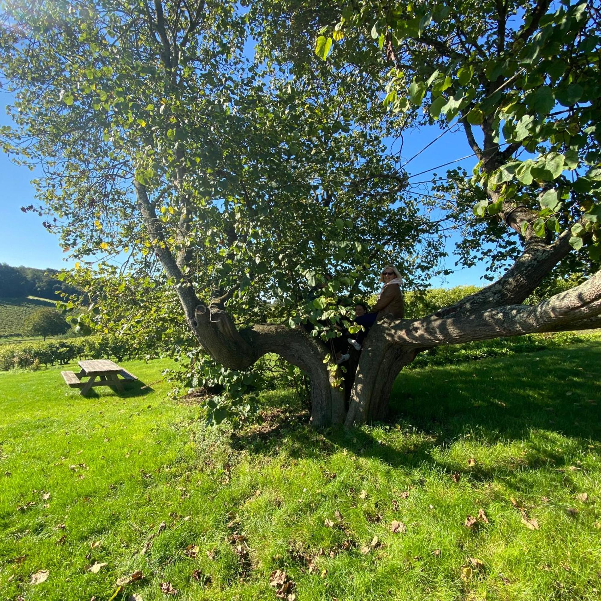 Ligré L'Ecrin De Verdure المظهر الخارجي الصورة